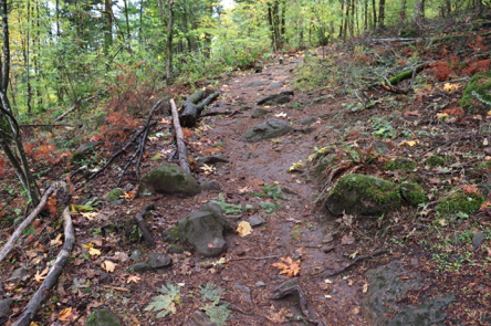 Mather Road Trail has areas littered with large rocks